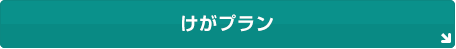 けがプラン